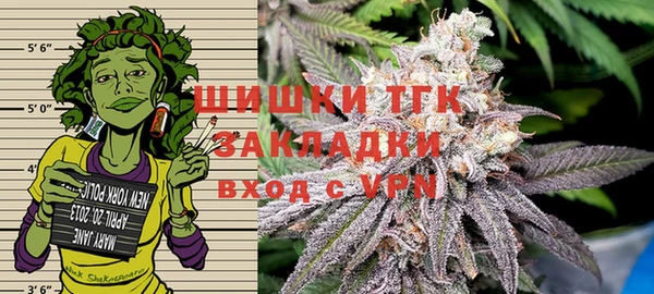 прущие грибы Балашиха
