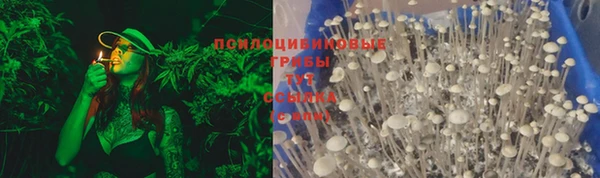 спайс Новодвинск