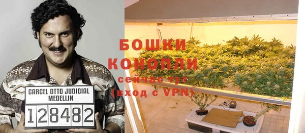 дурь Новозыбков