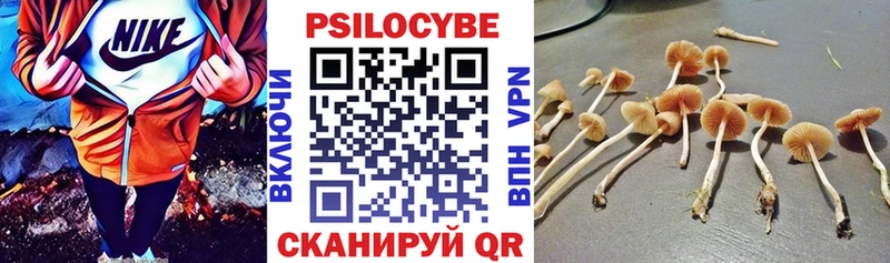 Галлюциногенные грибы ЛСД  Тверь 