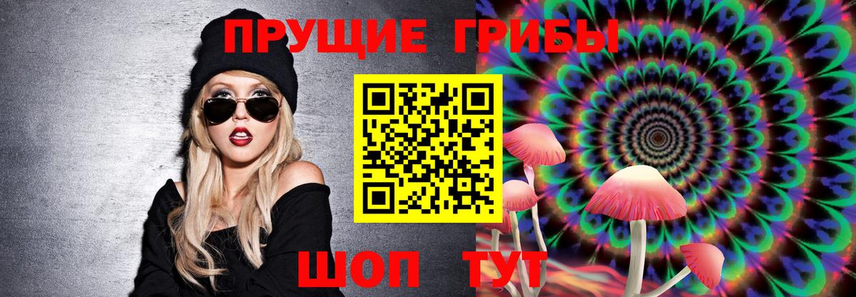 Псилоцибиновые грибы GOLDEN TEACHER Тверь